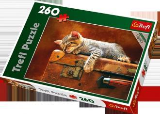 PUZZLE 260 SŁODKI SEN