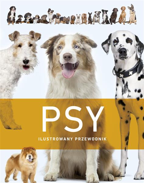 PSY