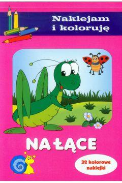 Naklejam i koloruję Na łące