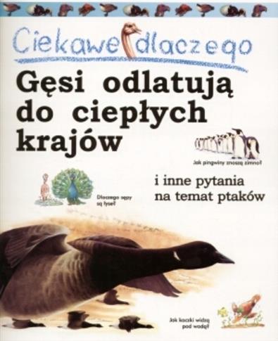 Ciekawe dlaczego gęsi odlatują