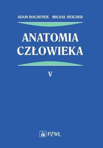 ANATOMIA CZŁOWIEKA. TOM 5