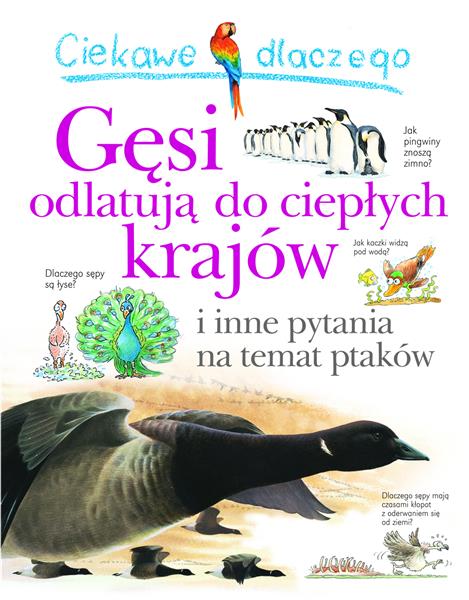 CIEKAWE DLACZEGO GĘSI ODLATUJĄ DO CIEPŁYCH KRAJÓW