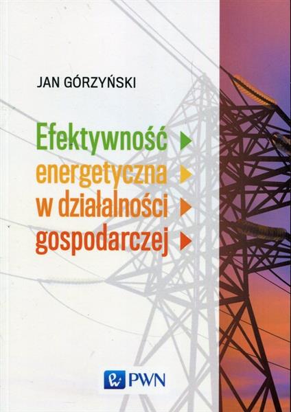 EFEKTYWNOŚĆ ENERGETYCZNA W DZIAŁALNOŚCI GOSPODARCZ