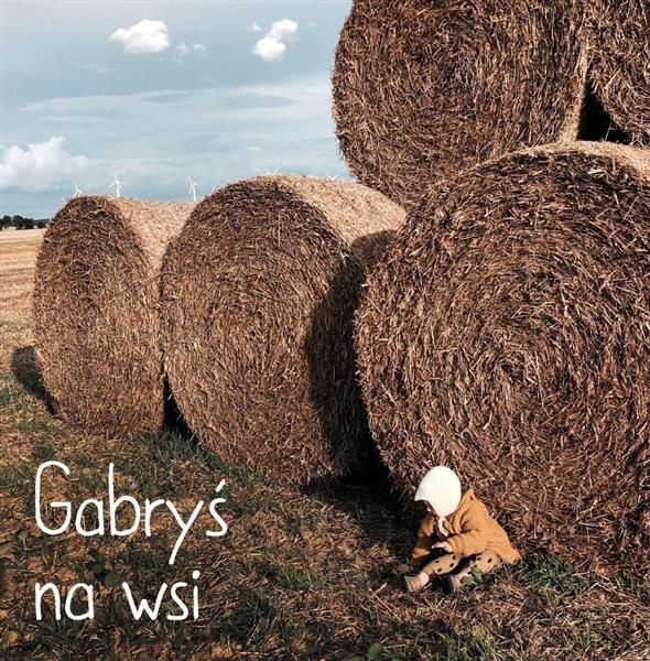 GABRYŚ NA WSI