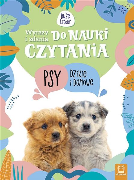 WYRAZY I ZDANIA DO NAUKI CZYTANIA. TAJEMNICE..