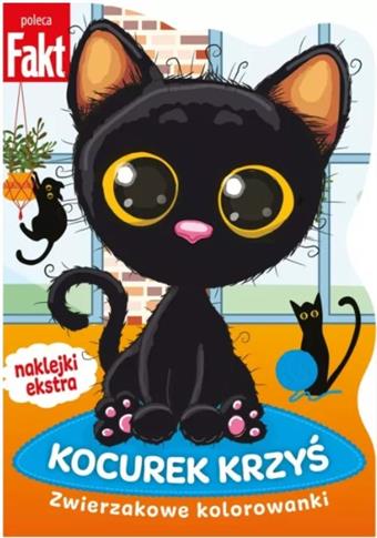 Kocurek Krzyś