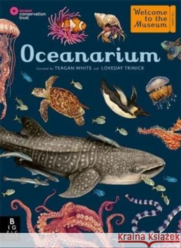Oceanarium