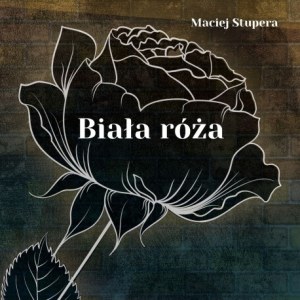 Biała róża