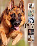 PSY