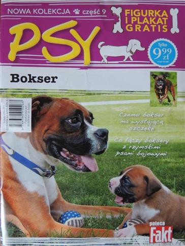 BOKSER. KOLEKCJA PSY. CZ.9