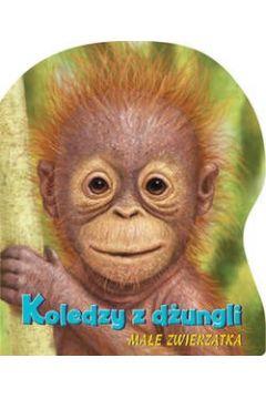 KOLEDZY Z DŹUNGLI