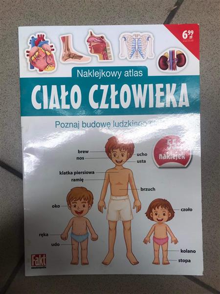 CIAŁO CZŁOWIEKA: POZNAJ BUDOWE LUDZKIEGO CIAŁA