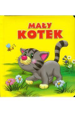 Mały kotek