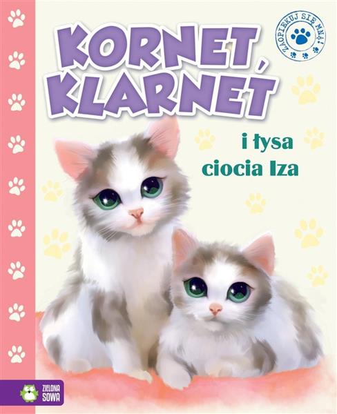 ZSM TW KORNET, KLARNET I ŁYSA CIOCIA
 NOWY