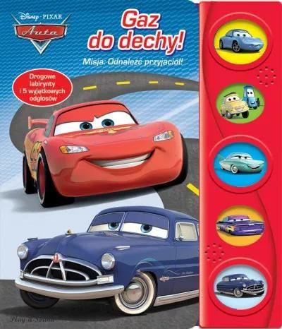 GAZ DO DECHY
