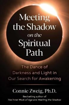 Meeting the Shadow on the Spiritual Path