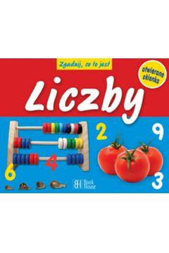 BH ZGADNIJ CO TO JEST LICZBY