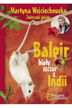 BALGIR, BIAŁY SZCZUR Z INDII
