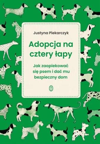 Adopcja na cztery łapy. Jak zaopiekować się psem