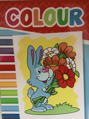 Colour
