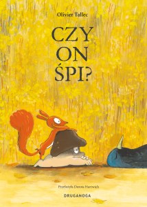 Czy on śpi? Wiewiórka