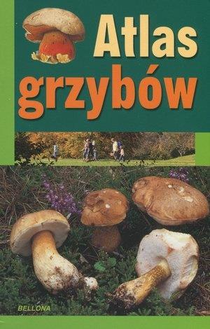 ATLAS GRZYBÓW