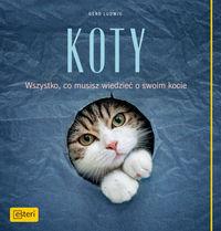 KOTY