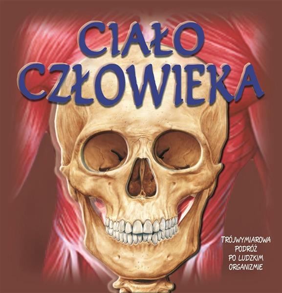 CIAŁO CZŁOWIEKA