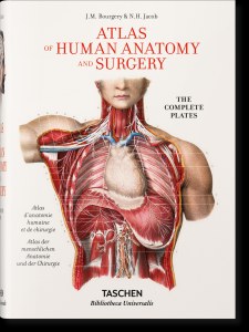 Bourgery. Atlas of Human Anatomy and Surgery wer. angielska