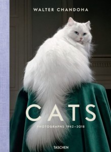 Walter Chandoha. Cats. Photographs 1942–2018 wer. angielska