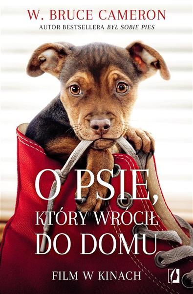 O PSIE KTÓRY WRÓCIŁ DO DOMU