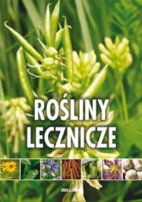ROŚLINY LECZNICZE