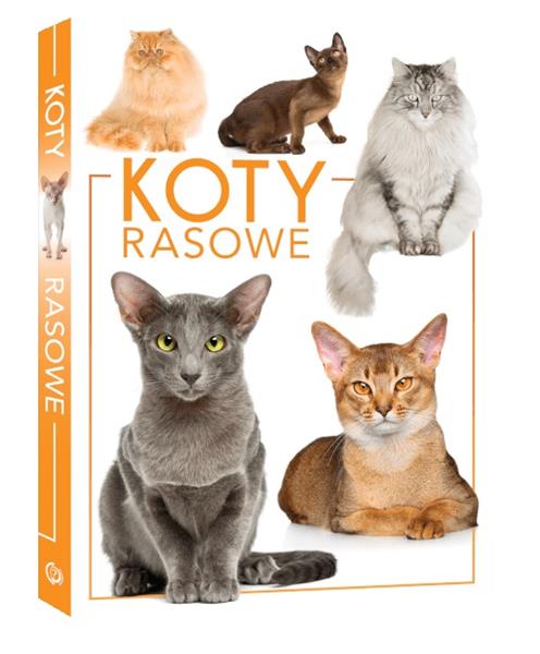 KOTY RASOWE