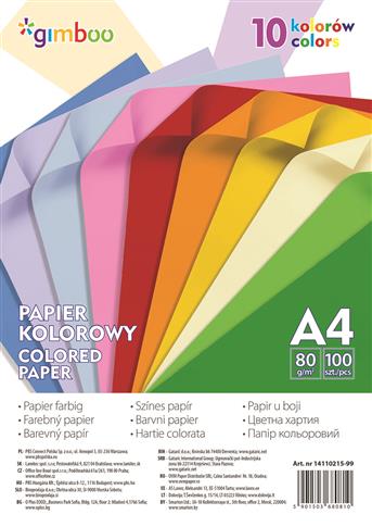 Papier kolorowy A4, 100 arkuszy, 10 kolorów
