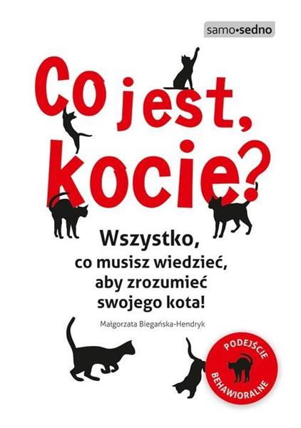 CO JEST, KOCIE? WSZYSTKO, CO MUSISZ WIEDZIEĆ, ABY
