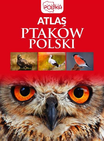 ATLAS PTAKÓW POLSKI