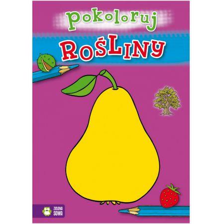 POKOLORUJ ROŚLINY