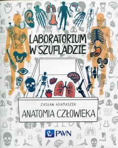Anatomia człowieka laboratorium w szufladzie