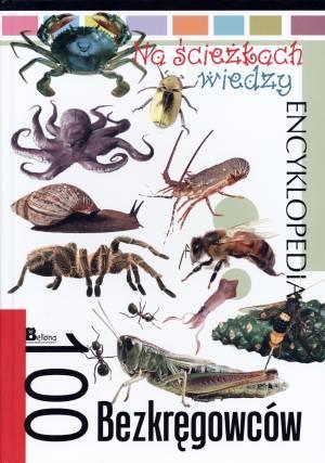 NA ŚCIEŻKACH WIEDZY. 100 BEZKRĘGOWCÓW