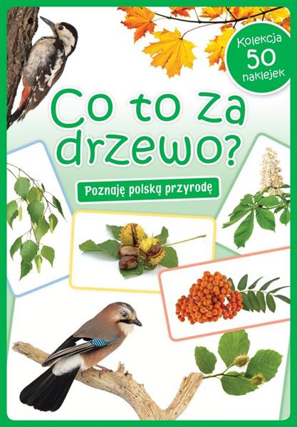 CO TO ZA DRZEWO?