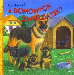 CO SŁYCHAĆ U DOMOWYCH ZWIERZĄTEK?