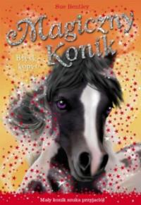 MAGICZNY KONIK BŁYSK KOPYT