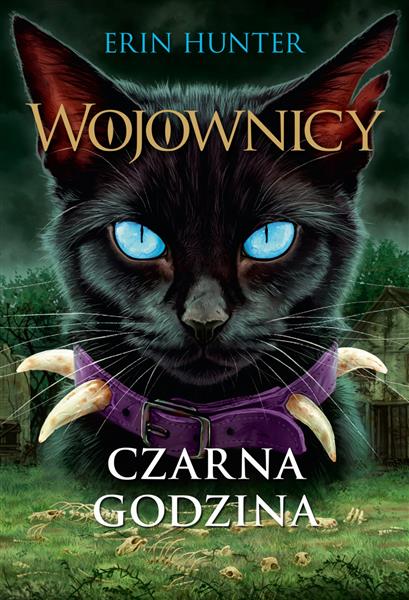 WOJOWNICY. TOM 6. CZARNA GODZINA