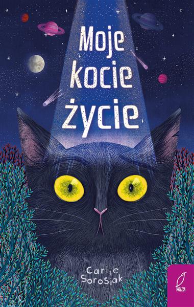 MOJE KOCIE ŻYCIE