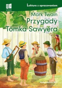 Przygody Tomka Sawyera. Lektura z opracowaniem wyd. 2