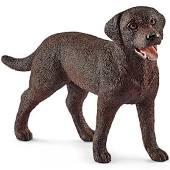 LABRADOR RETRIEVE SUCZKA