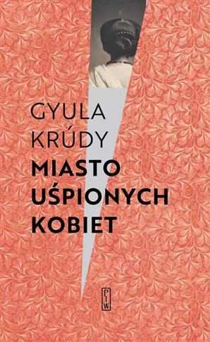 Miasto uśpionych kobiet. Opowiadania i felietony