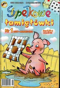 Supełkowe Łamigłówki