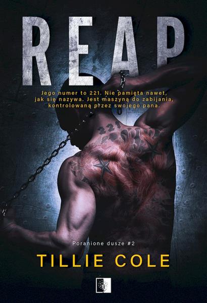 PORANIONE DUSZE TOM 2 REAP