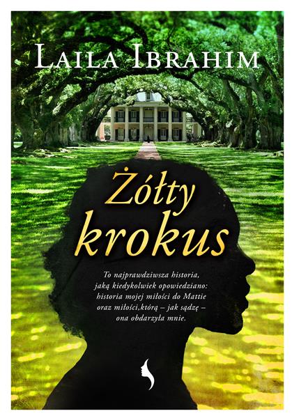 ŻÓŁTY KROKUS
